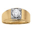 Fashion Rings