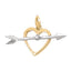 Pendants Heart
