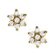 Earrings Cluster