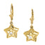 Earrings Single Stone