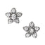 Earrings Cluster