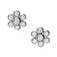 Earrings Cluster