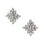 Earrings Cluster