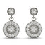 Earrings Cluster