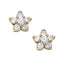 Earrings Cluster
