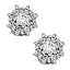 Earrings Cluster