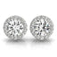 Earrings Halo