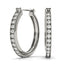 Earrings Hoop Earrings Standard Hoops