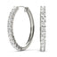 Earrings Hoop Earrings Standard Hoops