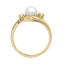Fashion Rings