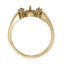Fashion Rings