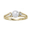 Fashion Rings