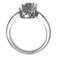 Fashion Rings