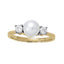 Fashion Rings