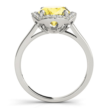 Fashion Rings