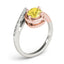 Fashion Rings