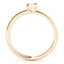 Fashion Rings