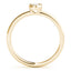 Fashion Rings